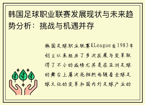 韩国足球职业联赛发展现状与未来趋势分析：挑战与机遇并存